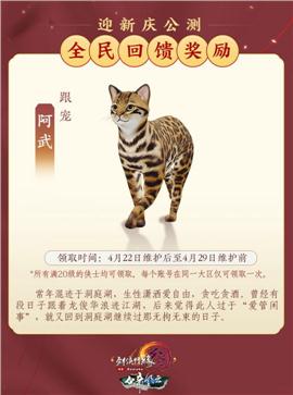 天龙八部私服改版本